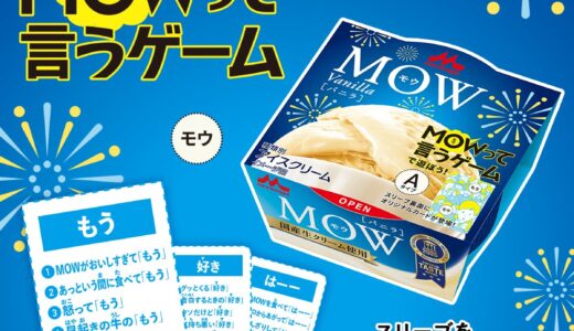『MOWって言うゲーム』が全国のコンビニで発売！